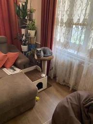 Когтеточка для котика с большим домиком и лежанками 70* 55 * 40см бежево коричневый фото от покупателей 1