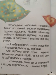 Книга «Малюк Коргі вчиться рахувати. Книжка-білінгва». Автор - Наталія Стукман фото от покупателей 2
