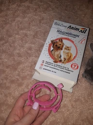 Ошейник от блох и клещей противопаразитарный AnimAll VetLine для кошек и собак 35 см 69636 Коралловый (4820150202811)