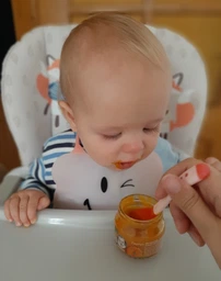 Пюре гомогенизированное овощное Gerber Тыква для детей с 6 месяцев 80 г (7613287348173)