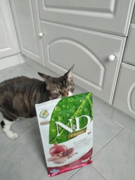 Фармина сухой корм для стерилизованных кошек N&D GRAIN FREE PRIME CHICKEN & POMEGRANATE NEUTERED ADULT с курицей 300 г фото от покупателей 11
