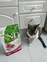 Фармина сухой корм для стерилизованных кошек N&D GRAIN FREE PRIME CHICKEN & POMEGRANATE NEUTERED ADULT с курицей 300 г фото от покупателей 10