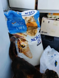 Сухой корм для взрослых кошек Purina Cat Chow Feline 3-in-1 с формулой тройного действия, с индейкой 1.5 кг фото от покупателей 3