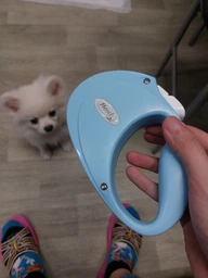 Повідець-рулетка Flexi Puppy стрічка 2 м до 12 кг Рожевий (4000498044506)