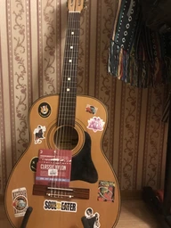 Струны для классических гитар DAddario EJ27H Student Nylon (Hard Tension) фото от покупателей 6