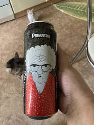 Упаковка пива Primator Mother In Law світле пастеризоване нефільтроване 4.7% 0.5 л x 12 шт (8594006930796) фото від покупців 2