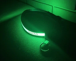 Нейлоновий нашийник для собак, що світиться DogClub Solar LUX L(50-60 см) Blue фото від покупців 1