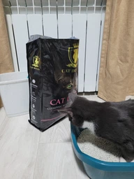 Наповнювачі для туалету CAT ROYALE Бентонітовий наповнювач з ароматом дитячої пудри 5 л (76144148) фото від покупців 8