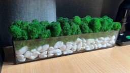 Моссариум со стабилизированым мхом MiNature Moss натурально зелёный 30 см фото от покупателей 8