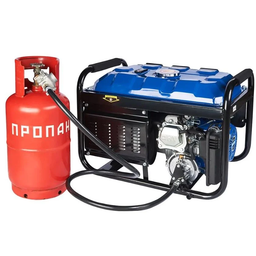 Генератор газово-бензиновый EnerSol EPG-2800SL фото от покупателей 16