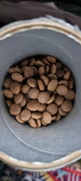 Сухой беззерновой корм с лососем для взрослых собак всех пород Nature's Protection Lifestyle Grain Free Salmon Adult All Breeds, 1.5 кг (NPLS45677) фото от покупателей 2