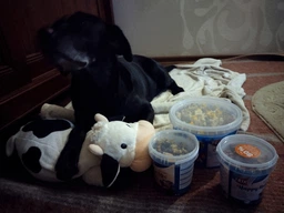 Ласощі для собак Trixie Печиво Кісточки Cookie Snack Mini Bones 1,3 кг 31661