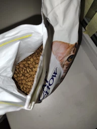 Сухой корм для взрослых кошек Purina Cat Chow Adult с уткой 15 кг фото от покупателей 12