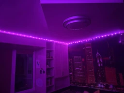 Гибкая медная гирлянда на батарейках РОСА капля 50LED DL 5м синяя 1000-RV-104B фото от покупателей 5