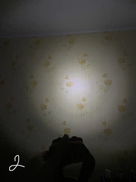 Ліхтар Ручний Philips SFL4002T, IPX4, 110 люмен, до 100 метрів, 2хАА фото від покупців 4