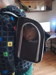 Рюкзак-переноска для собак и кошек Trixie TBag 42 х 29 x 21 см до 8 кг Черный с серым (4011905028828) фото от покупателей 1