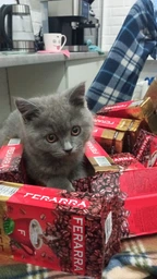 Кава мелена Ferarra Caffe 100% Arabica 250г
