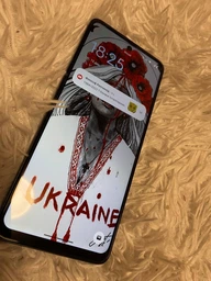Скло захисне Armorstandart Pro Motorola G60 / G60s Black (ARM60524) фото від покупців 7
