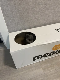 Когтеточка (дряпка) - лежанка для кошек Say Meow Cloud 61х21х24см (8040190102001/4820290060029)