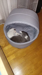 Будиночок/лежак для котів та собак Природа Comfort 44-43-40 см фото від покупців 2