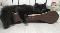 Кігтеточка дряпка з гофрокартону лежанка для котів з картонним фасадом Cat Joy Modern Whitish 54x13x25 см