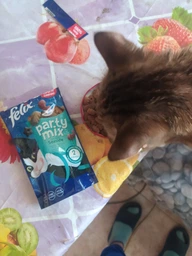 Упаковка лакомств для котов Purina Felix Party Mix Океанический Микс со вкусом лосося и форели 8 шт по 60 г (7613287631442) фото от покупателей 3