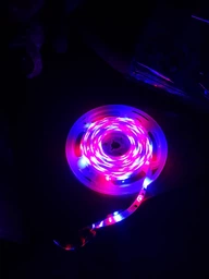 Світлодіодна стрічка RGB з пультом та блоком живлення SMD 3528 LED 5 метрів фото від покупців 1