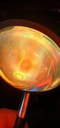 Лампа светильник проекционный ночник проектор захода солнца RGB 16 цветов декоративная подсветка управление телефоном Bluetooth с пультом USB эффектом заката трипод 25×7.5×3.5 см для фотосессий видеосъёмки + в комплекте адаптер RR1 3DTOYSLAMP фото от покупателей 12