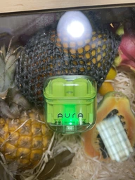 Навушники Aura 6 Green (TWSA6G) фото від покупців 2