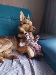 Бобер плюшевий з імітацією звуку Trixie 35910 27 см (4011905359106)A
