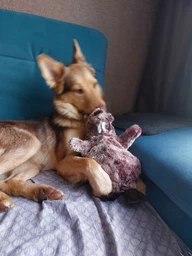 Бобер плюшевий з імітацією звуку Trixie 35910 27 см (4011905359106)A фото від покупців 1