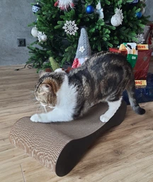 Кігтеточка дряпка з гофрокартону лежанка для котів з картонним фасадом Cat Joy Modern Whitish 54x13x25 см фото від покупців 1