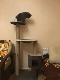 Устойчивая когтеточка для котиков, кошки с домиком гамаком 140*60*50см фото от покупателей 12