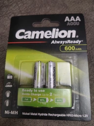 Аккумулятор Camelion R 03/2bl 800 мАч Ni-MH Always Ready (NH-AAA800АRBP2) фото от покупателей 9