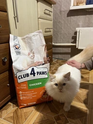 Cухий корм CLUB 4 PAWS PREMIUM Клуб 4 лапи для кошенят КУРКА, 5 кг фото від покупців 9