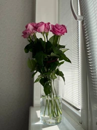 Ваза TRENDGLASS FLORA 15x15 см (35721) фото від покупців 4