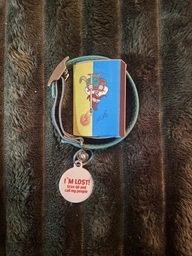 Нашийник для котів шкіряний WAUCAT Glamour з QR паспортом без прикрас XXS ширина 9 мм довжина 17-20 см Червоний (32753) фото від покупців 7