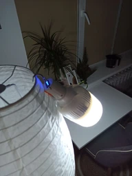 USB LED Лампа Ліхтар Кемпінговий Туристичний 60 W на Акумуляторі Батарея 2400 mAh Аварійний Світильник з Підвісом Біла фото від покупців 8