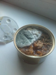Вологий корм GOURMET Gold “Подвійне задоволення” для дорослих котів шматочки у підливці з качкою та індичкою 85 г фото від покупців 5