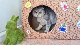 Когтеточка картонная Say Meow Grace, 67 см х 27 см х 24 см фото от покупателей 2