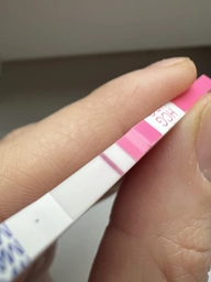 Тест-смужка для ранньої діагностики вагітності Atlas Link HomeTest 1 шт. (7640162329644) фото від покупців 1