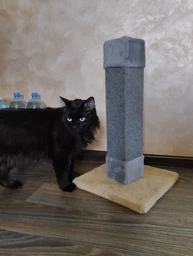 Кігтеточка Lucky Pet кутова ЛПД8, 20х50см фото від покупців 8