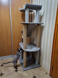 Стильная когтеточка с домиком игровой комплекс для кошек, котов всех пород 190х80х60см серо бежевая