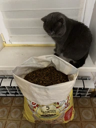 Сухой корм для взрослых кошек Purina Friskies с говядиной, курицей и овощами 10 кг фото от покупателей 6
