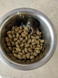 Сухий корм для дорослих стерилізованих котів Purina Cat Chow Sterilised із куркою 1.5 кг фото от покупателей 12