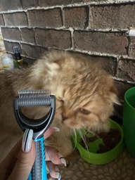 Колтунорез для срезки колтунов у котов Trixie 5 х 18 см (4011905242408) фото от покупателей 2