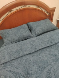 Подушка Пухова Мілана Тік наповнювач 100% гусячий пух чохол 100% бавовна 50х50 см (art: Olexandro) фото від покупців 9
