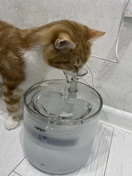Фонтанчик для кота питний фонтан для кішок собак котів автоматична поїлка кішки з фільтром біла NPET WF100 (WNPT-1.6L)