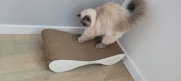 Кігтеточка з картону посиленого з дерев'яним фасадом Cat Joy Bionica Beige Wood 63х14х29 см фото від покупців 18