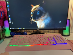 Акустическая система 2E PCS231 RGB Matrix, 2.0, USB Black (2E-PCS231BK)